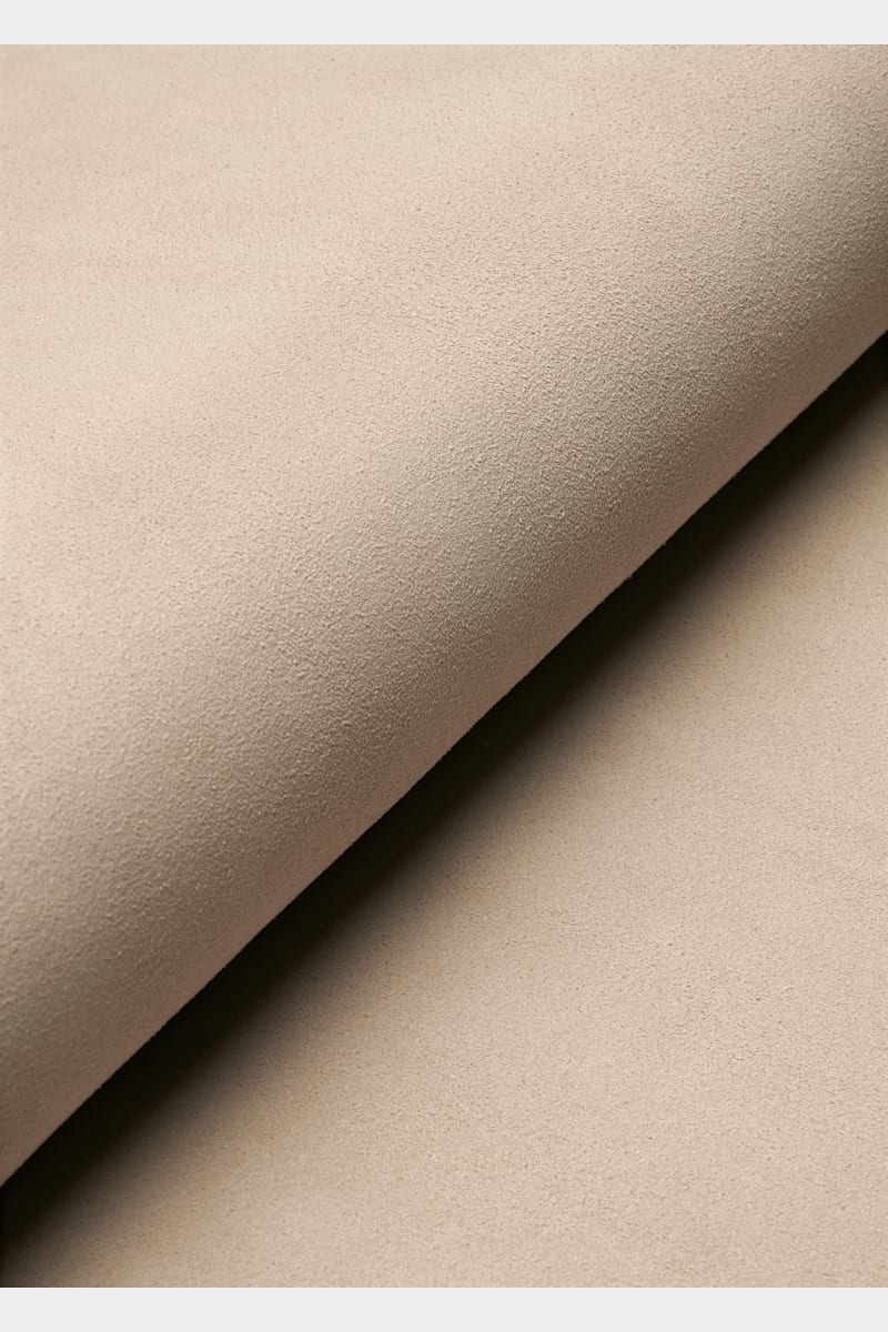 Brown Slide - Close-up