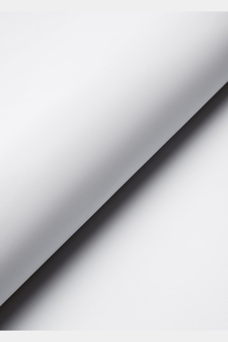 White Sneaker - Close-up
